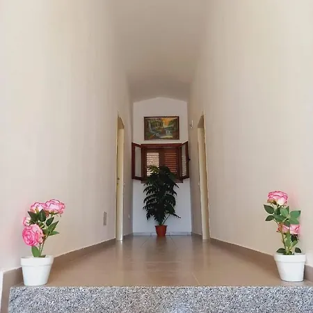 Dhoma Plazhi Natyra Spille *